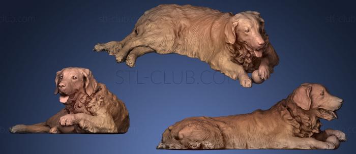 3D model Golden retriever (STL)